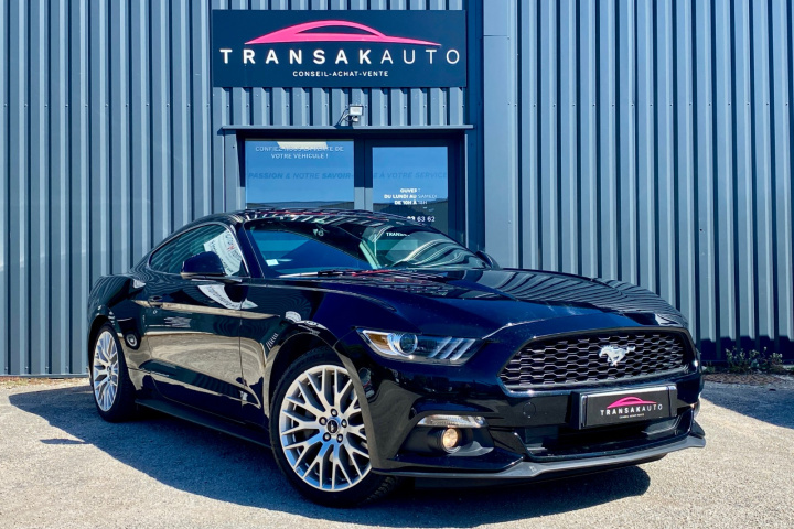 FORD MUSTANG FASTBACK