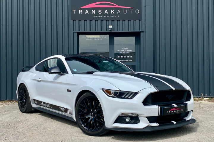 FORD MUSTANG FASTBACK
